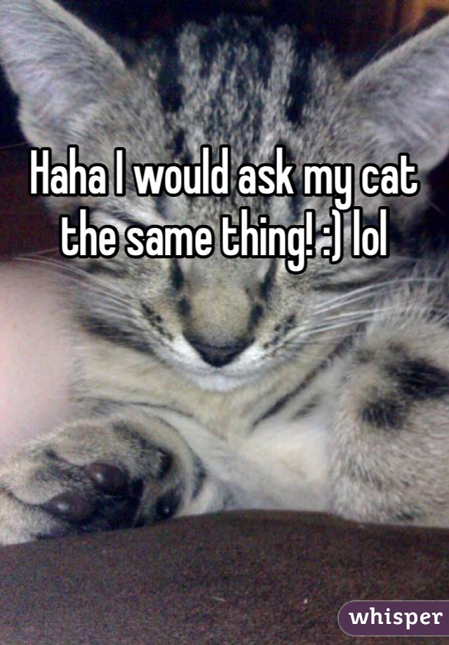 Haha I would ask my cat the same thing! :) lol