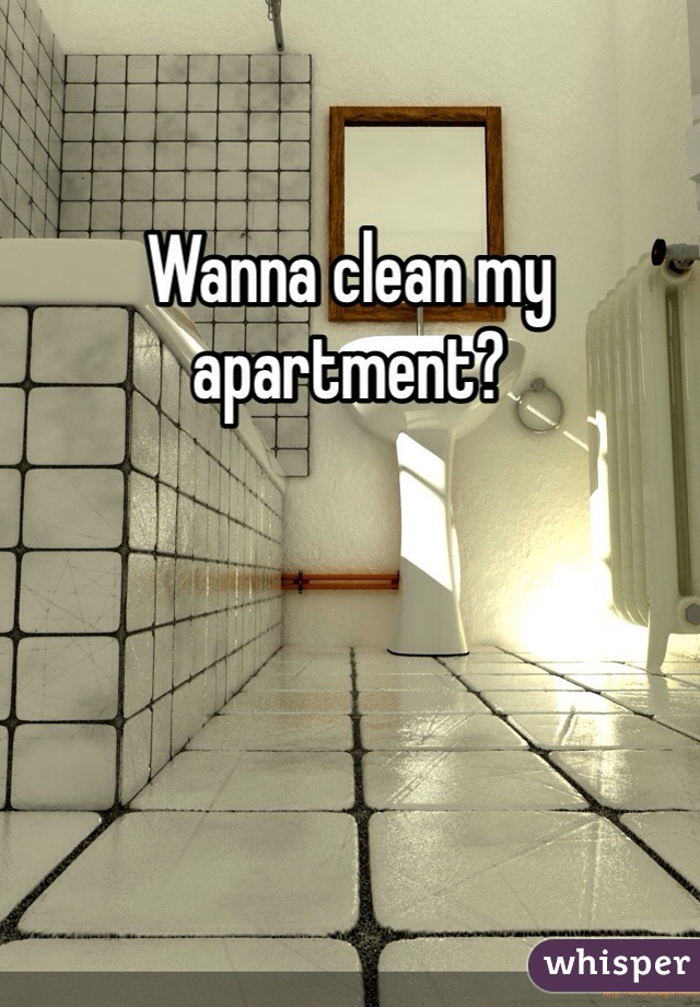 Wanna clean my apartment?