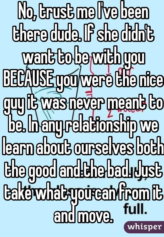 No, trust me I've been there dude. If she didn't want to be with you BECAUSE you were the nice guy it was never meant to be. In any relationship we learn about ourselves both the good and the bad. Just take what you can from it and move.