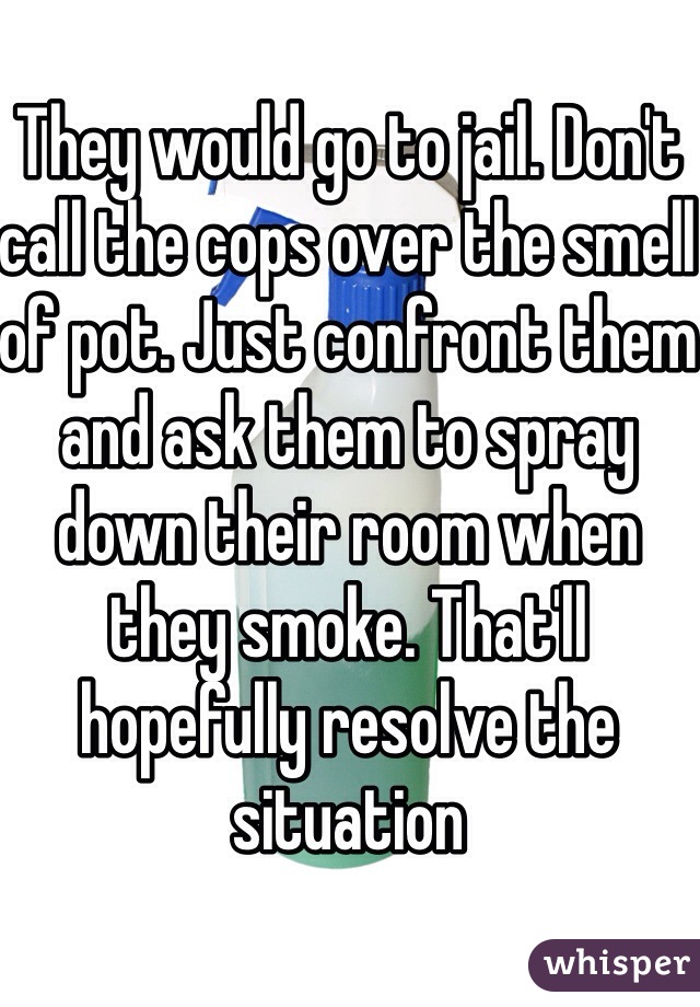 They would go to jail. Don't call the cops over the smell of pot. Just confront them and ask them to spray down their room when they smoke. That'll hopefully resolve the situation 