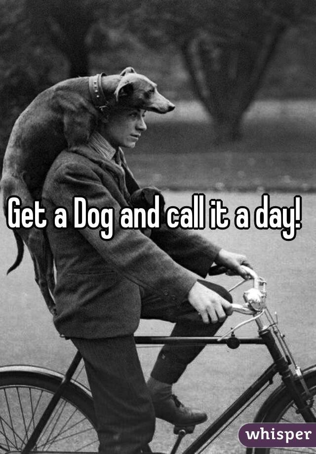 Get a Dog and call it a day! 
