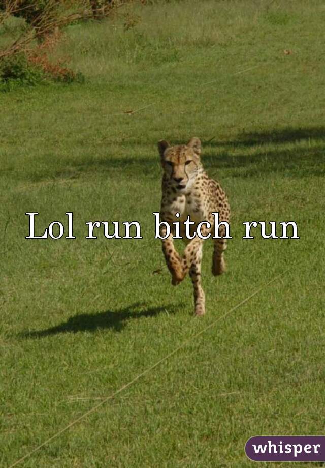 Lol run bitch run