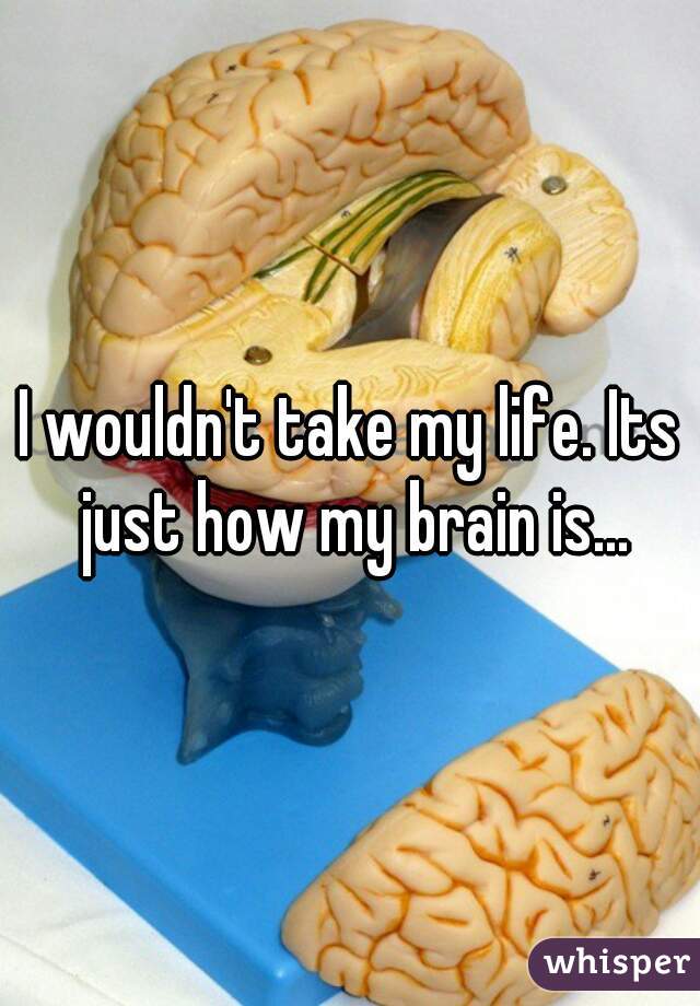 I wouldn't take my life. Its just how my brain is...