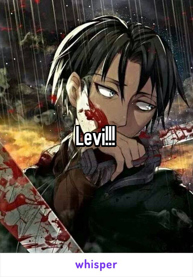 Levi!!! 