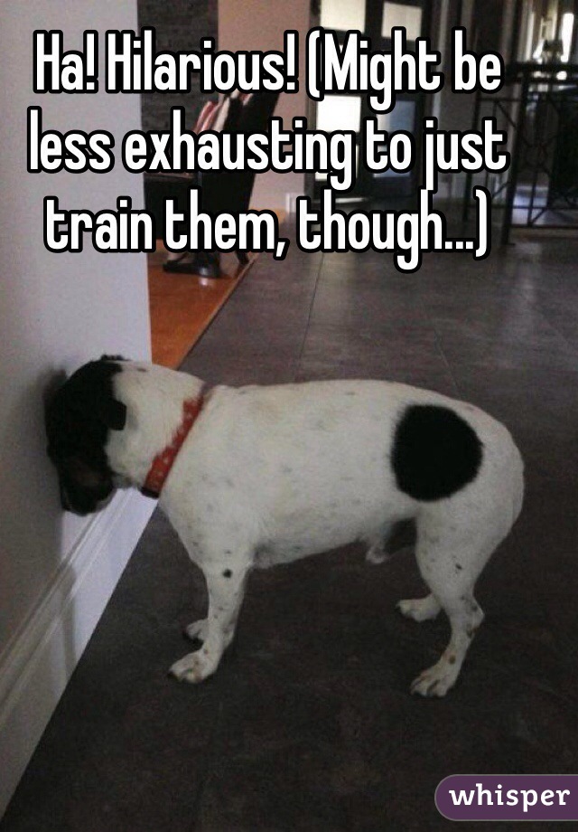 Ha! Hilarious! (Might be less exhausting to just train them, though...)