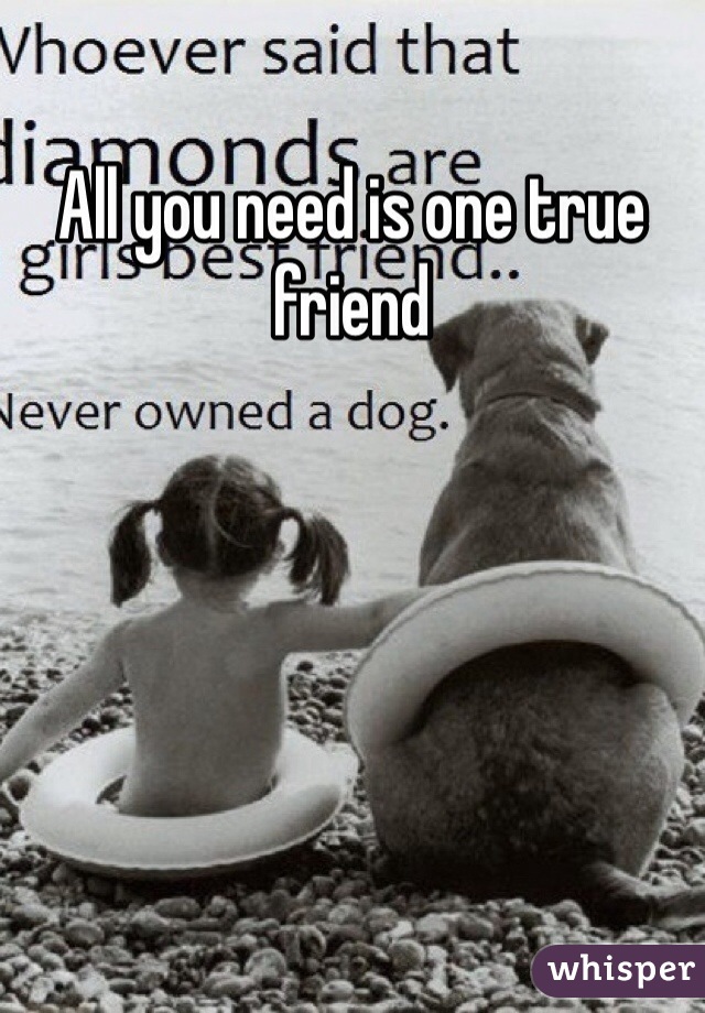 All you need is one true friend 