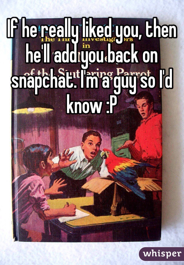 If he really liked you, then he'll add you back on snapchat. I'm a guy so I'd know :P