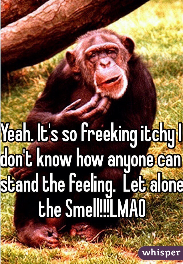 Yeah. It's so freeking itchy I don't know how anyone can stand the feeling.  Let alone the Smell!!!LMAO