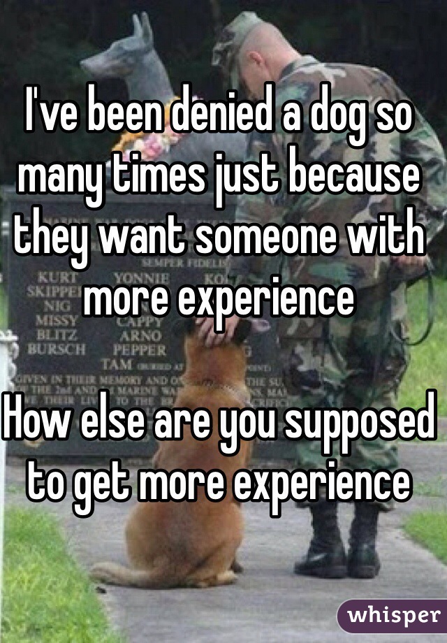I've been denied a dog so many times just because they want someone with more experience 

How else are you supposed to get more experience