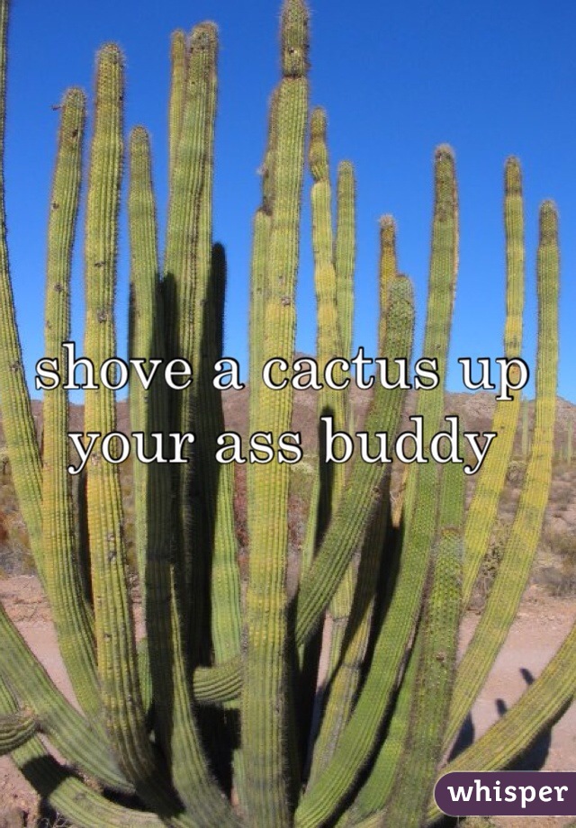 shove a cactus up your ass buddy