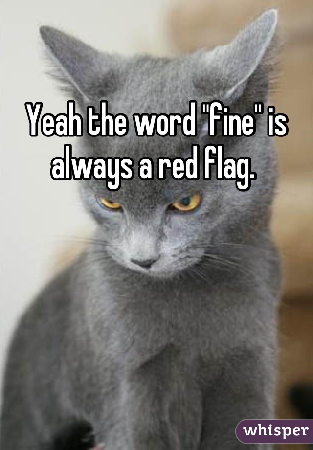 Yeah the word "fine" is always a red flag. 