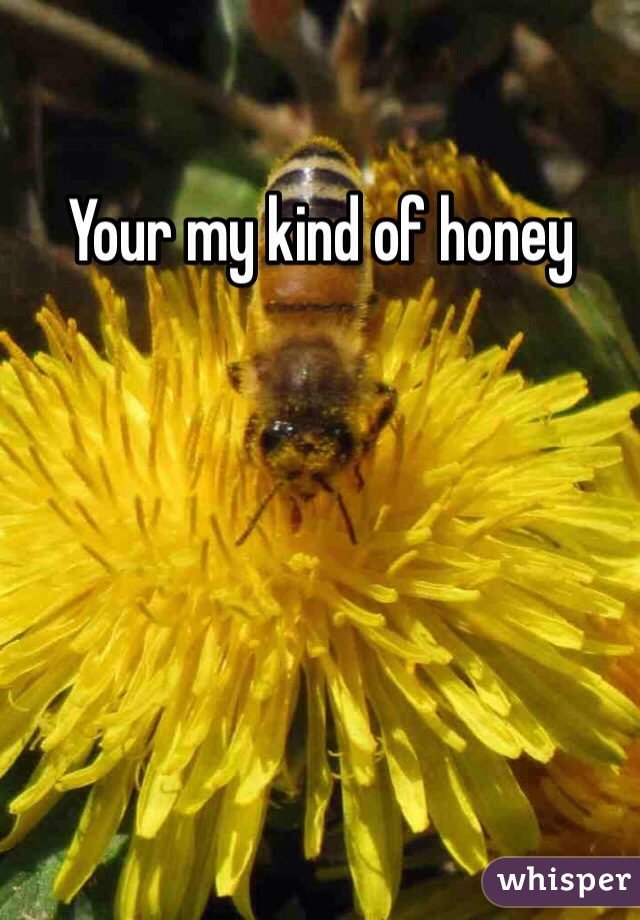 Your my kind of honey
