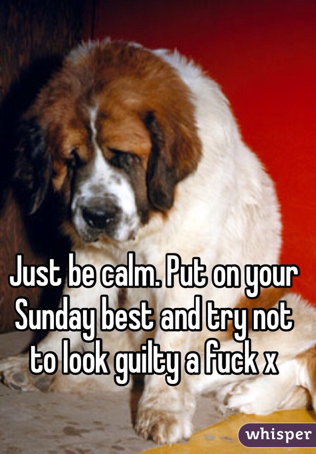 Image result for st bernard what the fuck