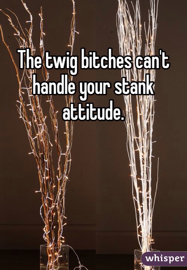 The twig bitches can't handle your stank attitude. 