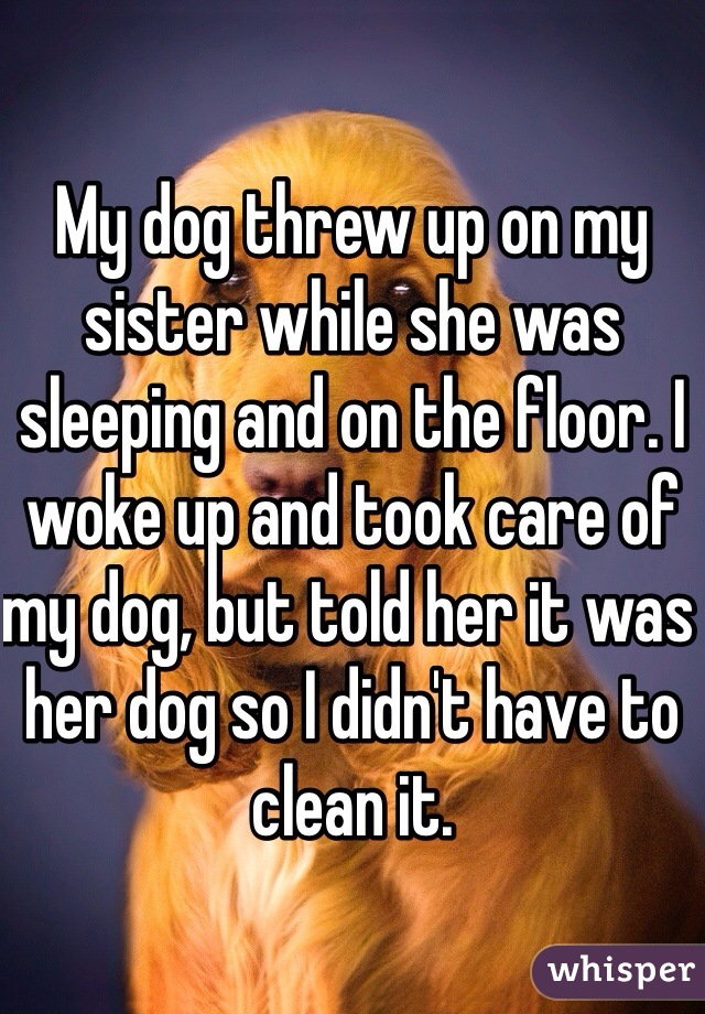 My dog threw up on my sister while she was sleeping and on the floor. I woke up and took care of my dog, but told her it was her dog so I didn't have to clean it. 
