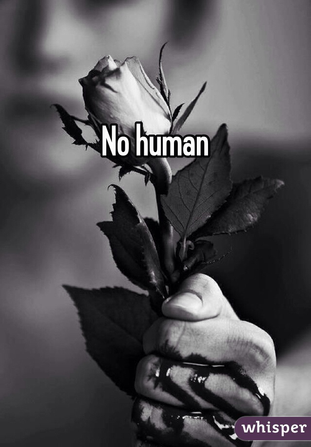 No human 
