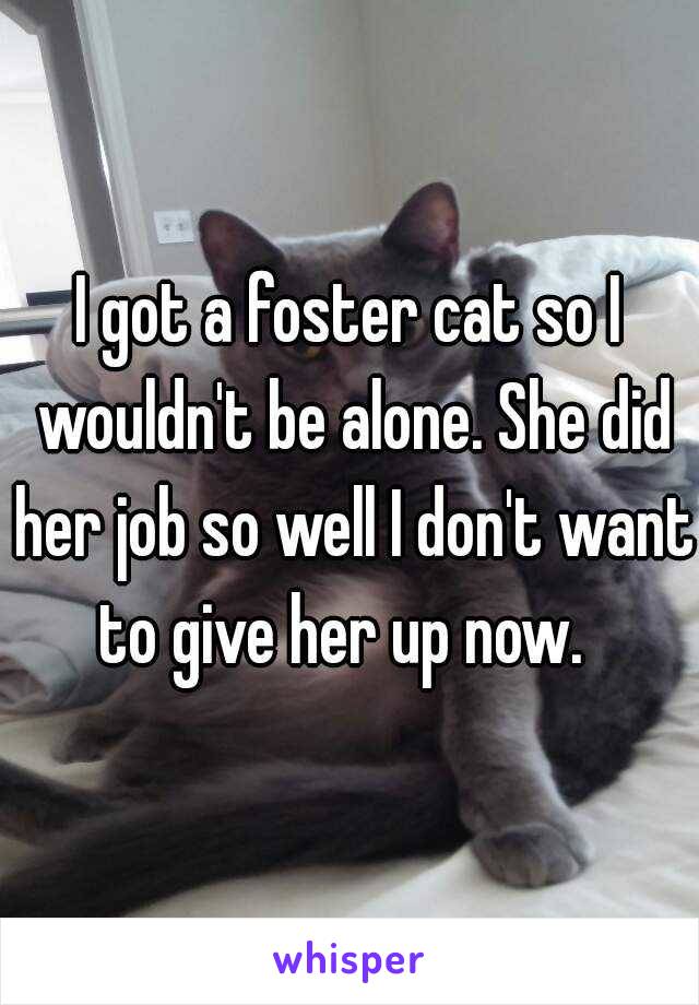 I got a foster cat so I wouldn't be alone. She did her job so well I don't want to give her up now.  