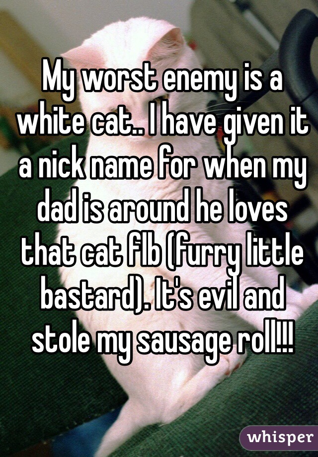 My worst enemy is a white cat.. I have given it a nick name for when my dad is around he loves that cat flb (furry little bastard). It's evil and stole my sausage roll!!!