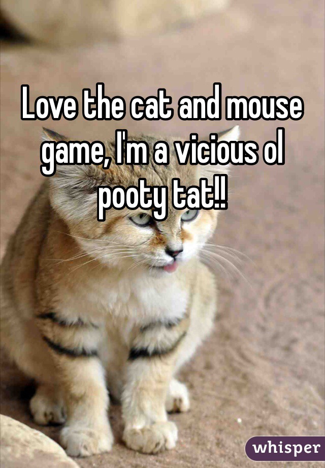 Love the cat and mouse game, I'm a vicious ol pooty tat!!