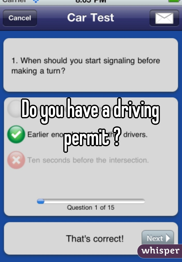 Do you have a driving permit ?