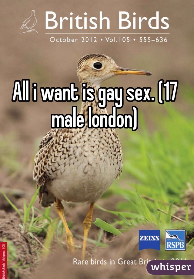 All i want is gay sex. (17 male london)