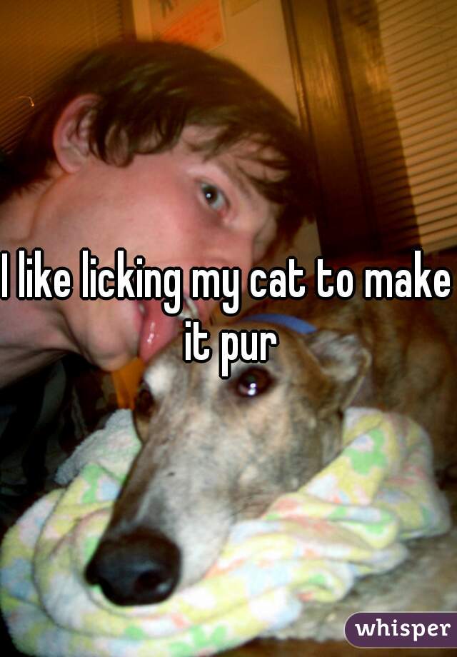 I like licking my cat to make it pur