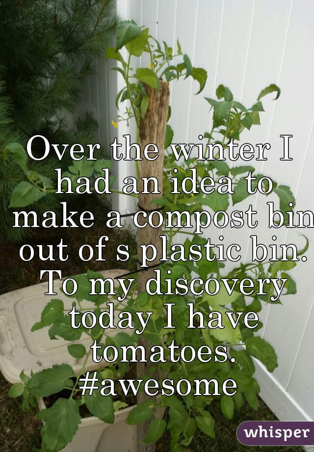 Over the winter I had an idea to make a compost bin out of s plastic bin. To my discovery today I have tomatoes. #awesome 