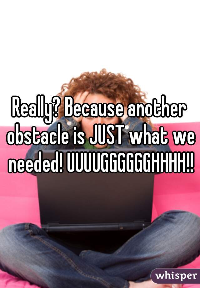 Really? Because another obstacle is JUST what we needed! UUUUGGGGGGHHHH!!