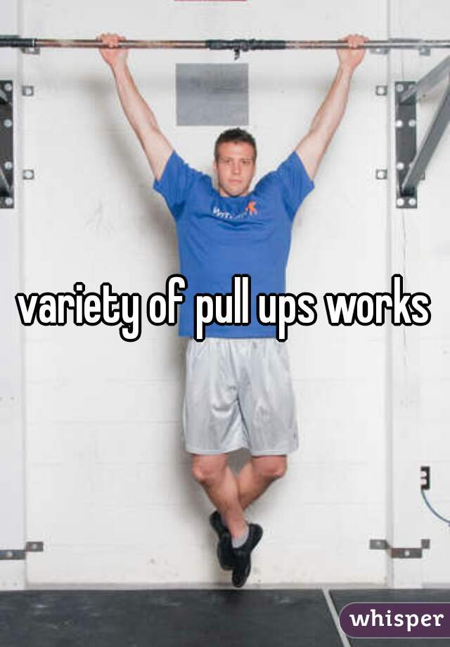 variety of pull ups works
