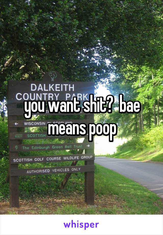 you want shit?  bae means poop