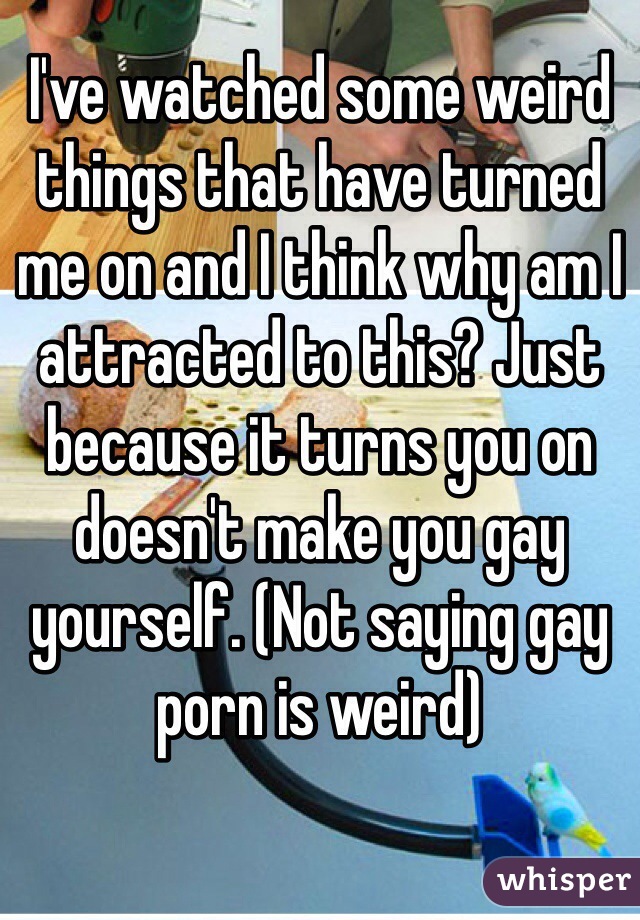 I've watched some weird things that have turned me on and I think why am I attracted to this? Just because it turns you on doesn't make you gay yourself. (Not saying gay porn is weird) 