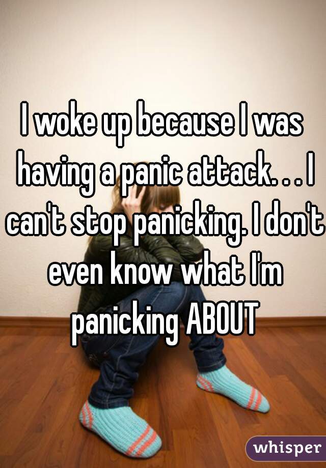 I woke up because I was having a panic attack. . . I can't stop panicking. I don't even know what I'm panicking ABOUT