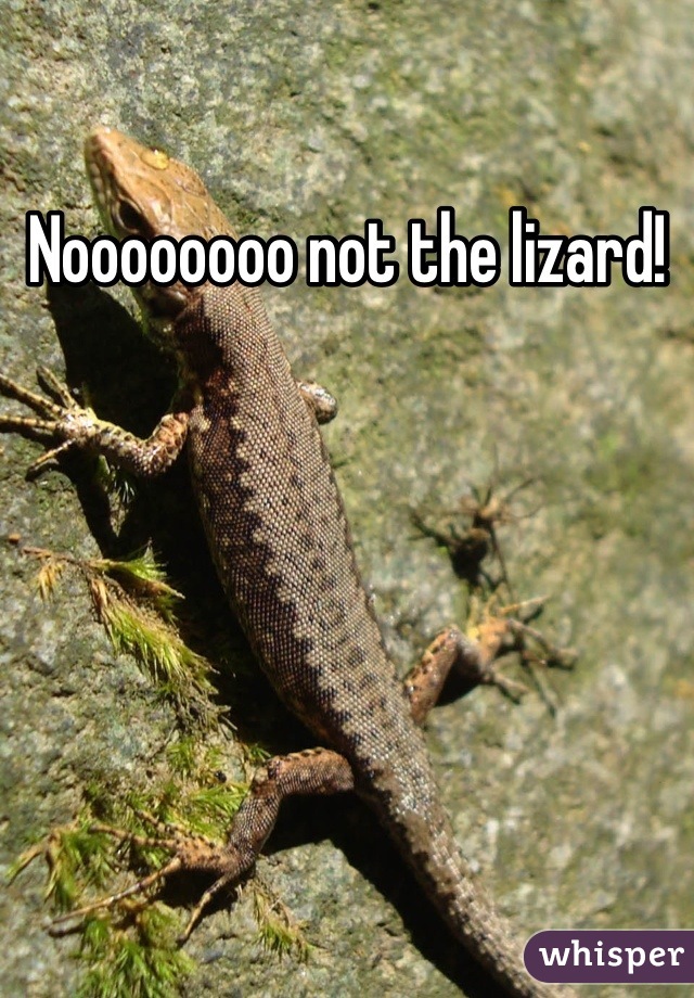 Noooooooo not the lizard!