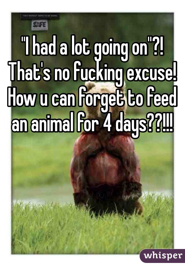 "I had a lot going on"?! That's no fucking excuse! How u can forget to feed an animal for 4 days??!!!