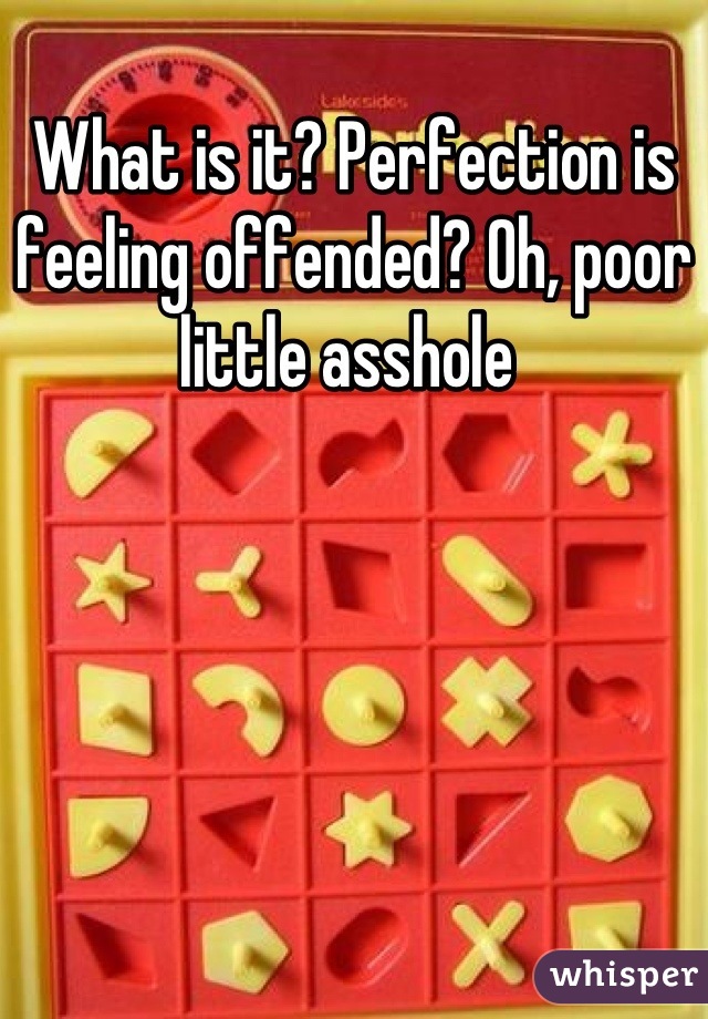 What is it? Perfection is feeling offended? Oh, poor little asshole 