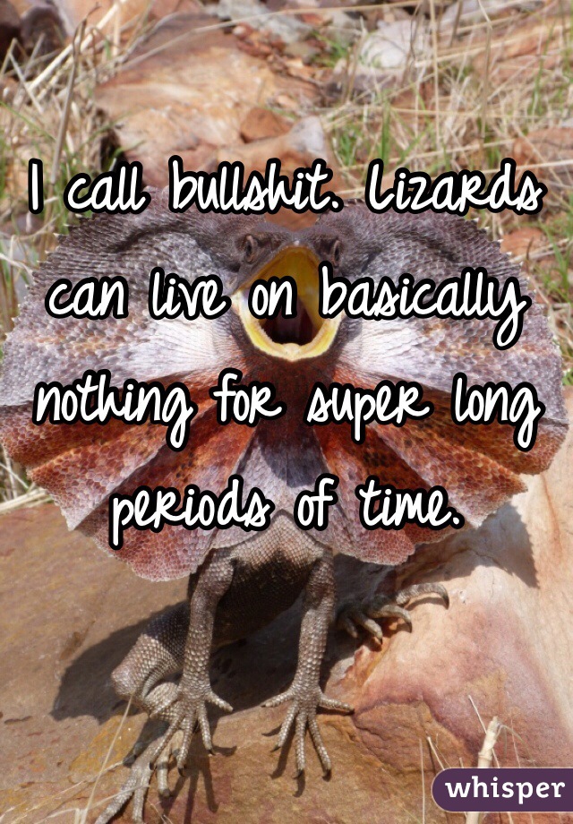 I call bullshit. Lizards can live on basically nothing for super long periods of time.