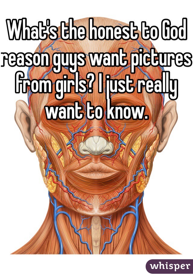 What's the honest to God reason guys want pictures from girls? I just really want to know. 