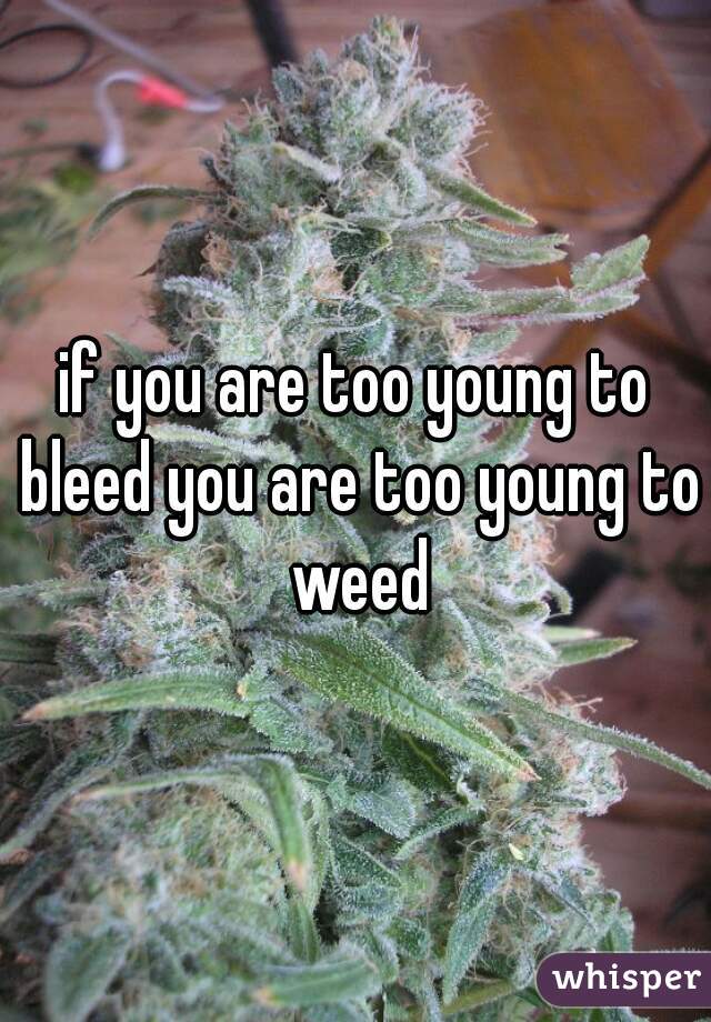 if you are too young to bleed you are too young to weed