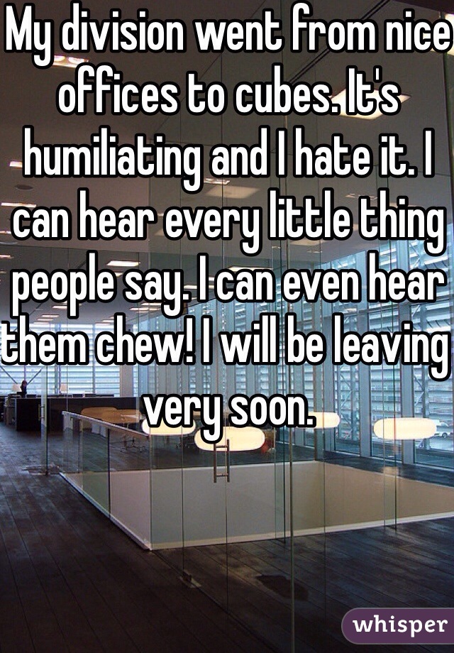 My division went from nice offices to cubes. It's humiliating and I hate it. I can hear every little thing people say. I can even hear them chew! I will be leaving very soon. 