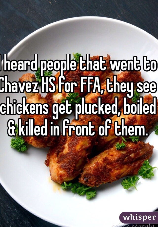 I heard people that went to Chavez HS for FFA, they see chickens get plucked, boiled & killed in front of them.