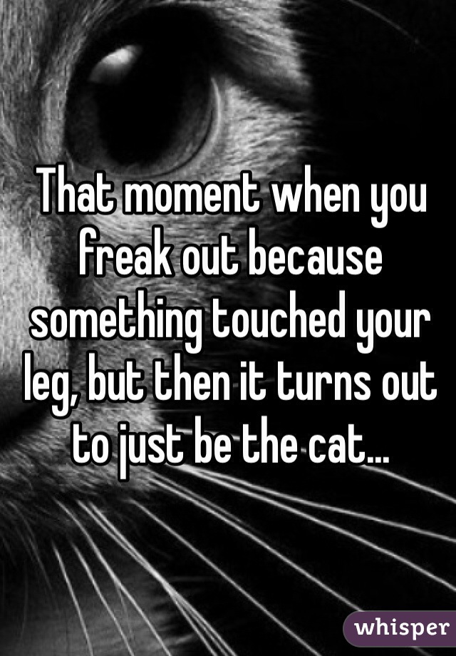 That moment when you freak out because something touched your leg, but then it turns out to just be the cat...
