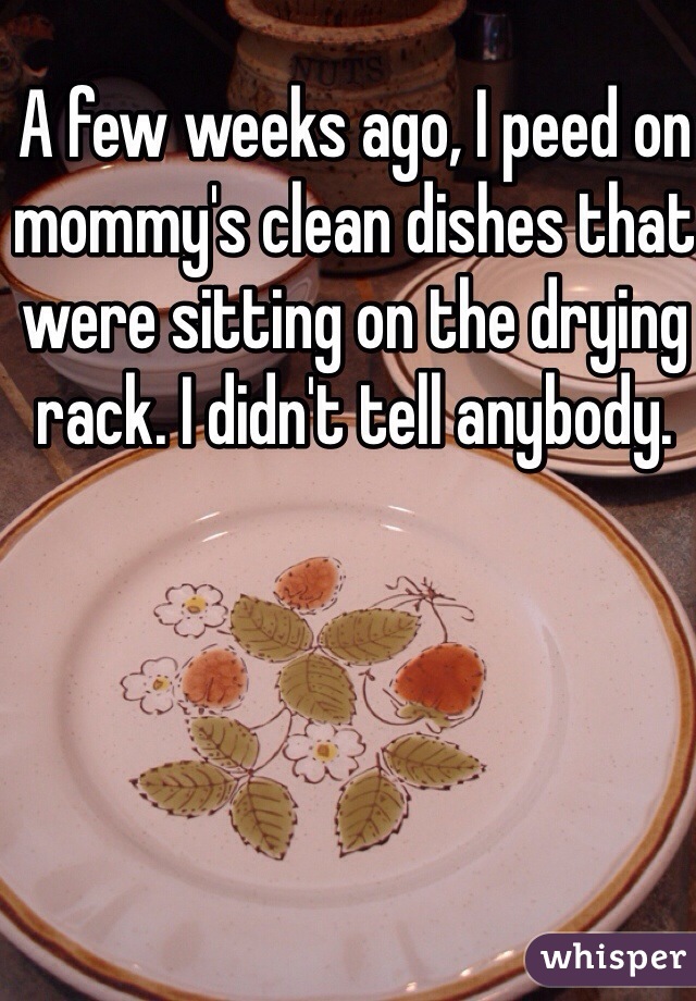 A few weeks ago, I peed on mommy's clean dishes that were sitting on the drying rack. I didn't tell anybody.