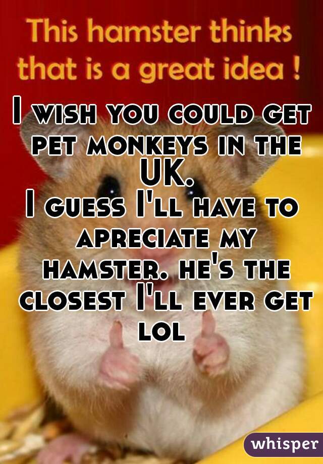 I wish you could get pet monkeys in the UK.
I guess I'll have to apreciate my hamster. he's the closest I'll ever get lol 