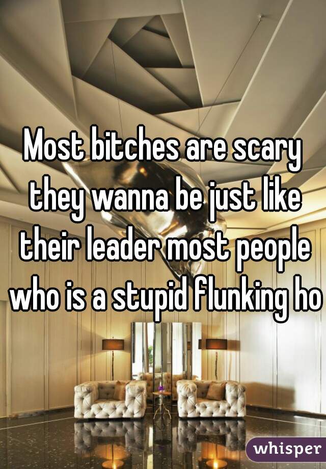 Most bitches are scary they wanna be just like their leader most people who is a stupid flunking hoe