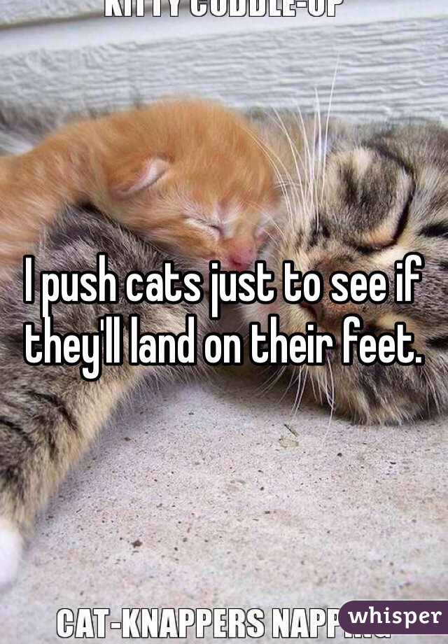 I push cats just to see if they'll land on their feet. 