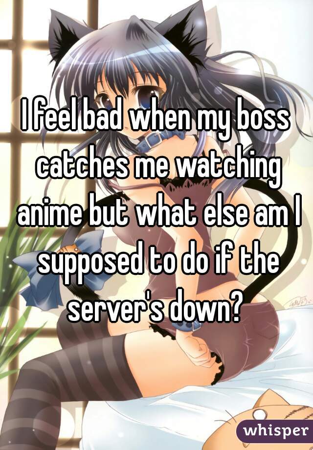 I feel bad when my boss catches me watching anime but what else am I supposed to do if the server's down? 
