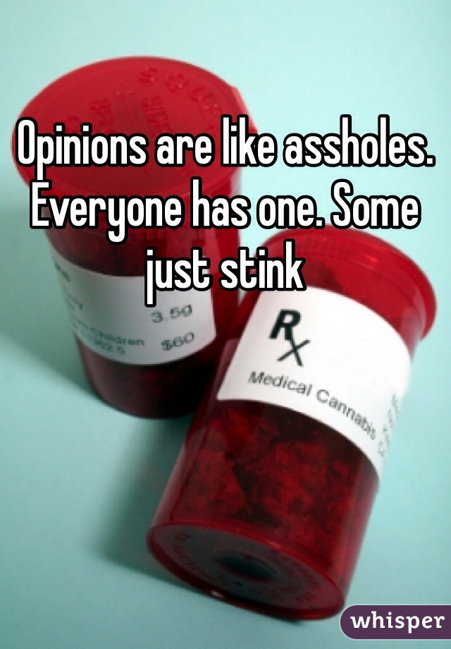 Opinions are like assholes. Everyone has one. Some just stink