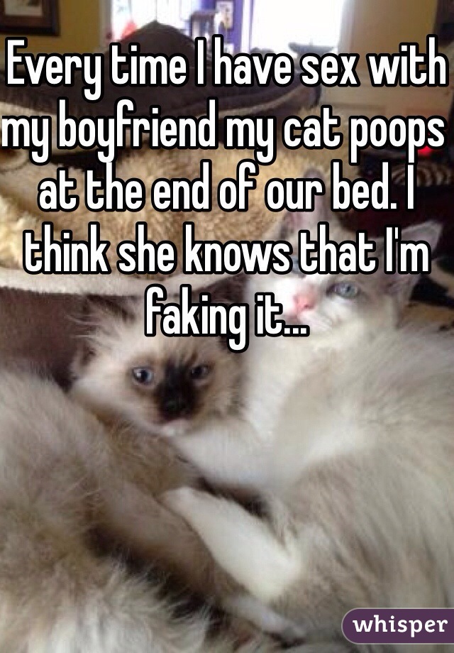 Every time I have sex with my boyfriend my cat poops at the end of our bed. I think she knows that I'm faking it... 