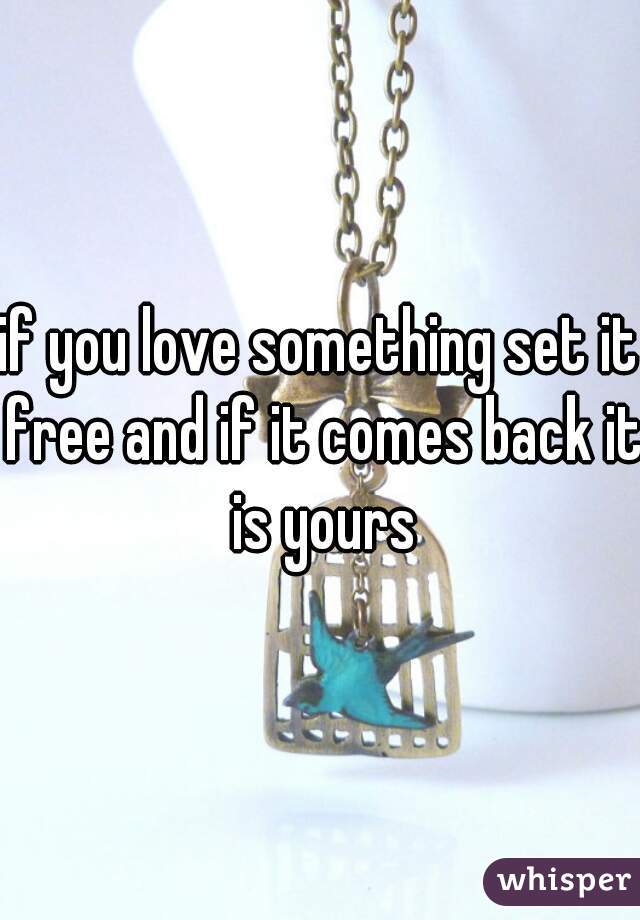 if you love something set it free and if it comes back it is yours