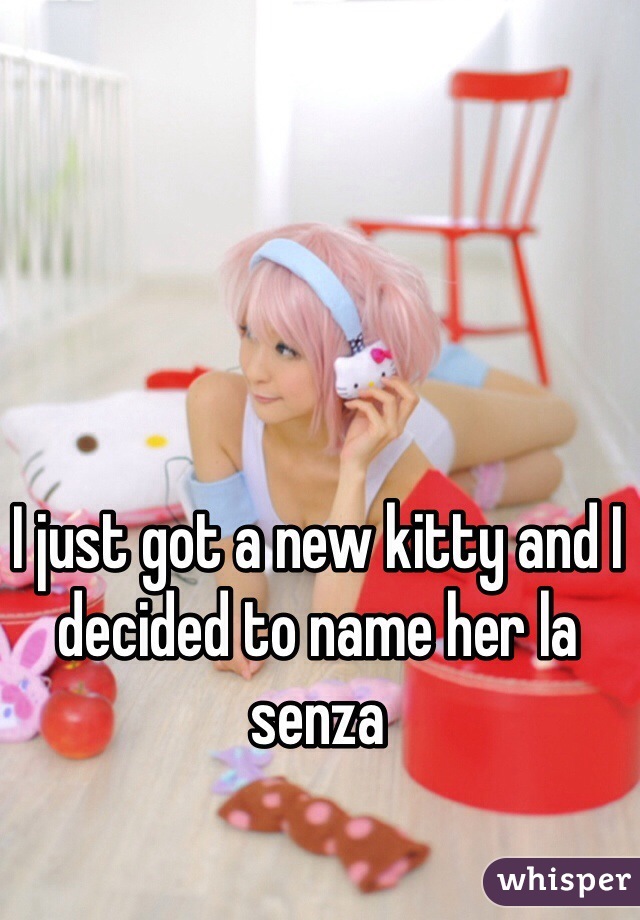 I just got a new kitty and I decided to name her la senza 